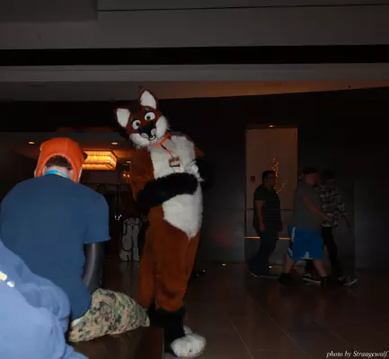 IMG_0842-lr.jpg of MFF/MFF2013/