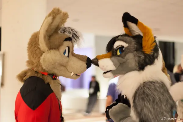 IMG_1850-lr19t.jpg of FWA/FWA2018/