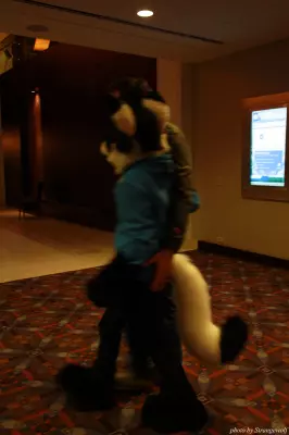 IMG_0401-lr.jpg of MFF/MFF2013/