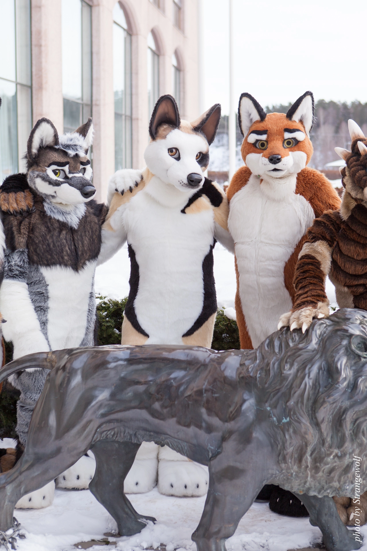 full image IMG_0300-lr19t.jpg