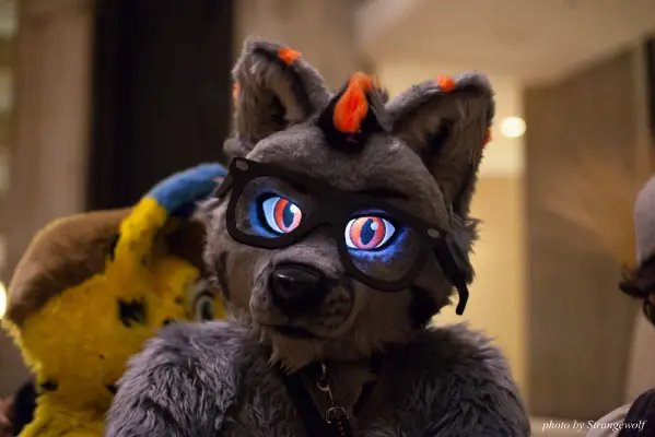 IMG_4119-lr16t.jpg of MFF/MFF2015/