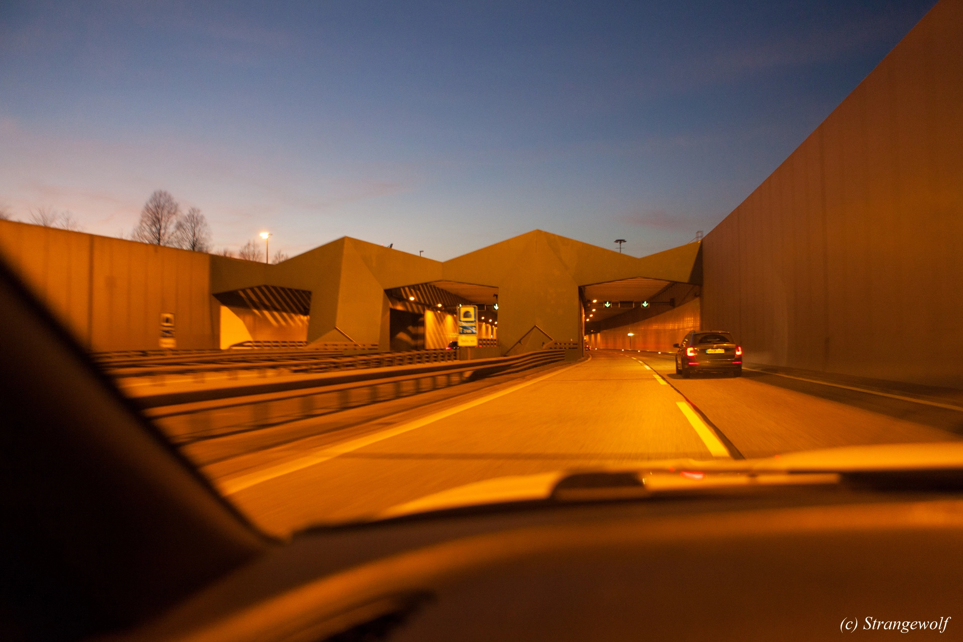 full image IMG_8413-lr19t.jpg