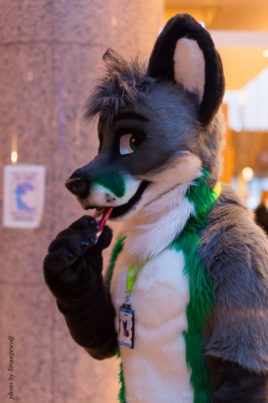 full image IMG_2154-lr16t.jpg