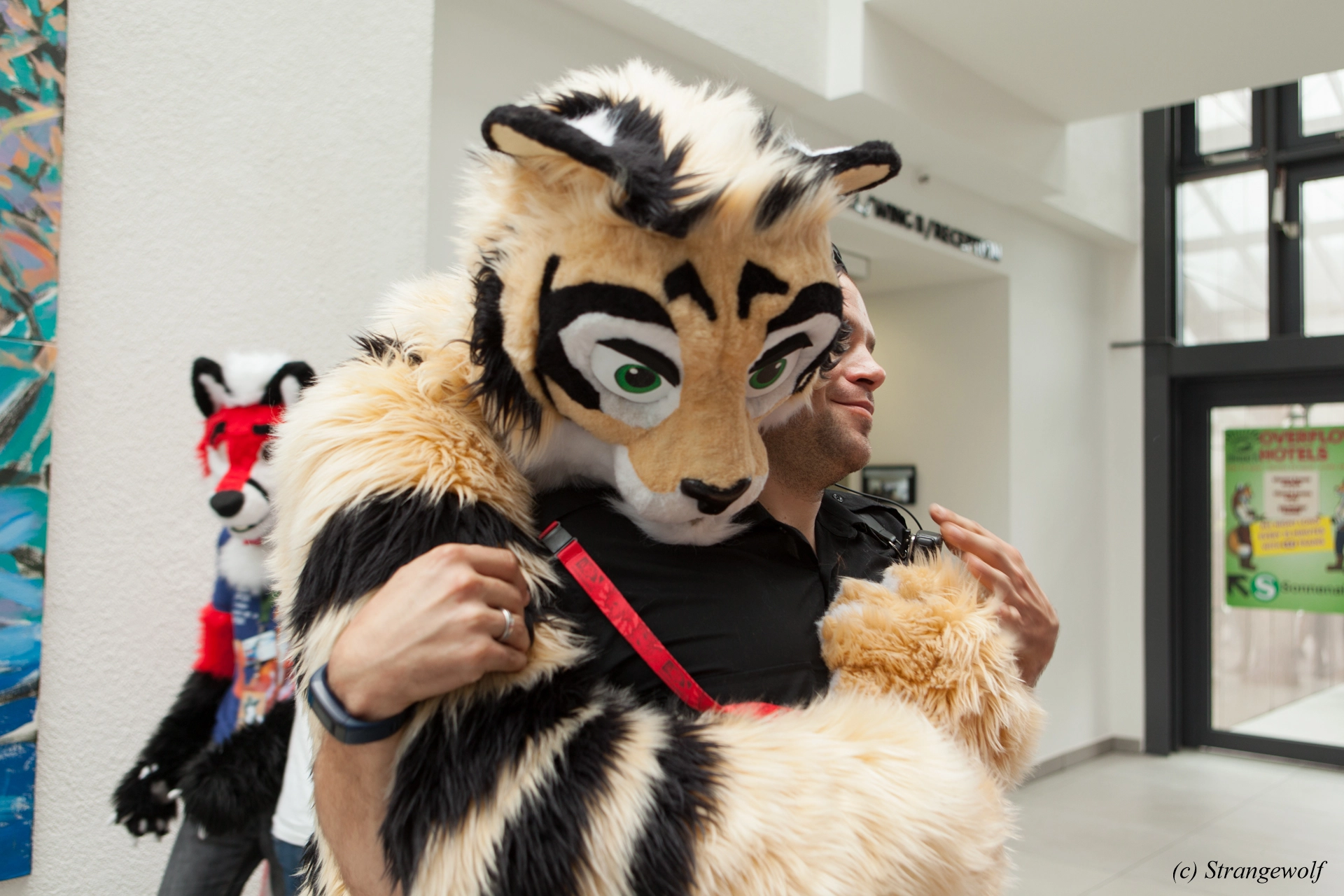 full image IMG_5340-lr19t.jpg