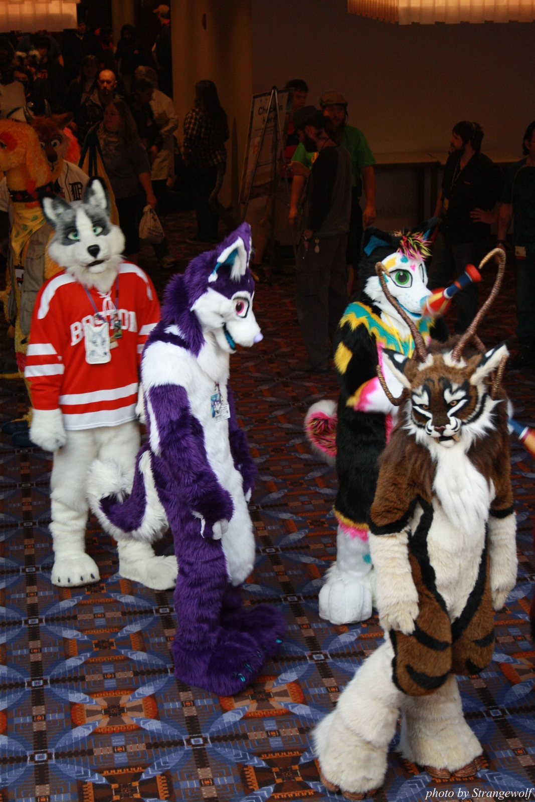 full image IMG_0618-lr.jpg