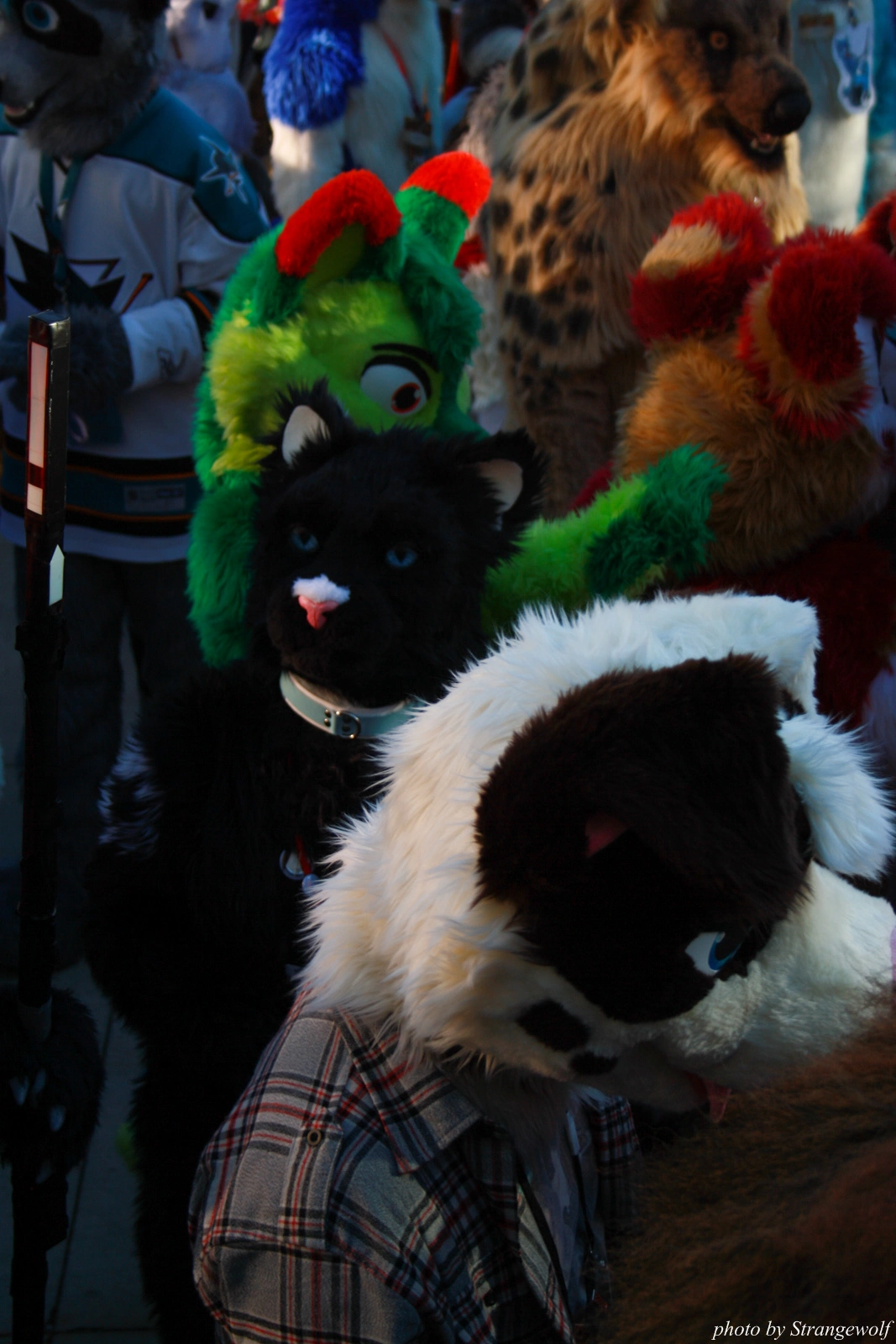 full image IMG_0695-lr.jpg