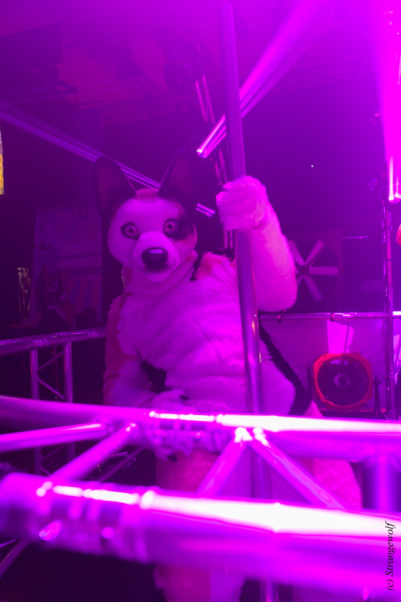 full image IMG_5039-lr19t.jpg