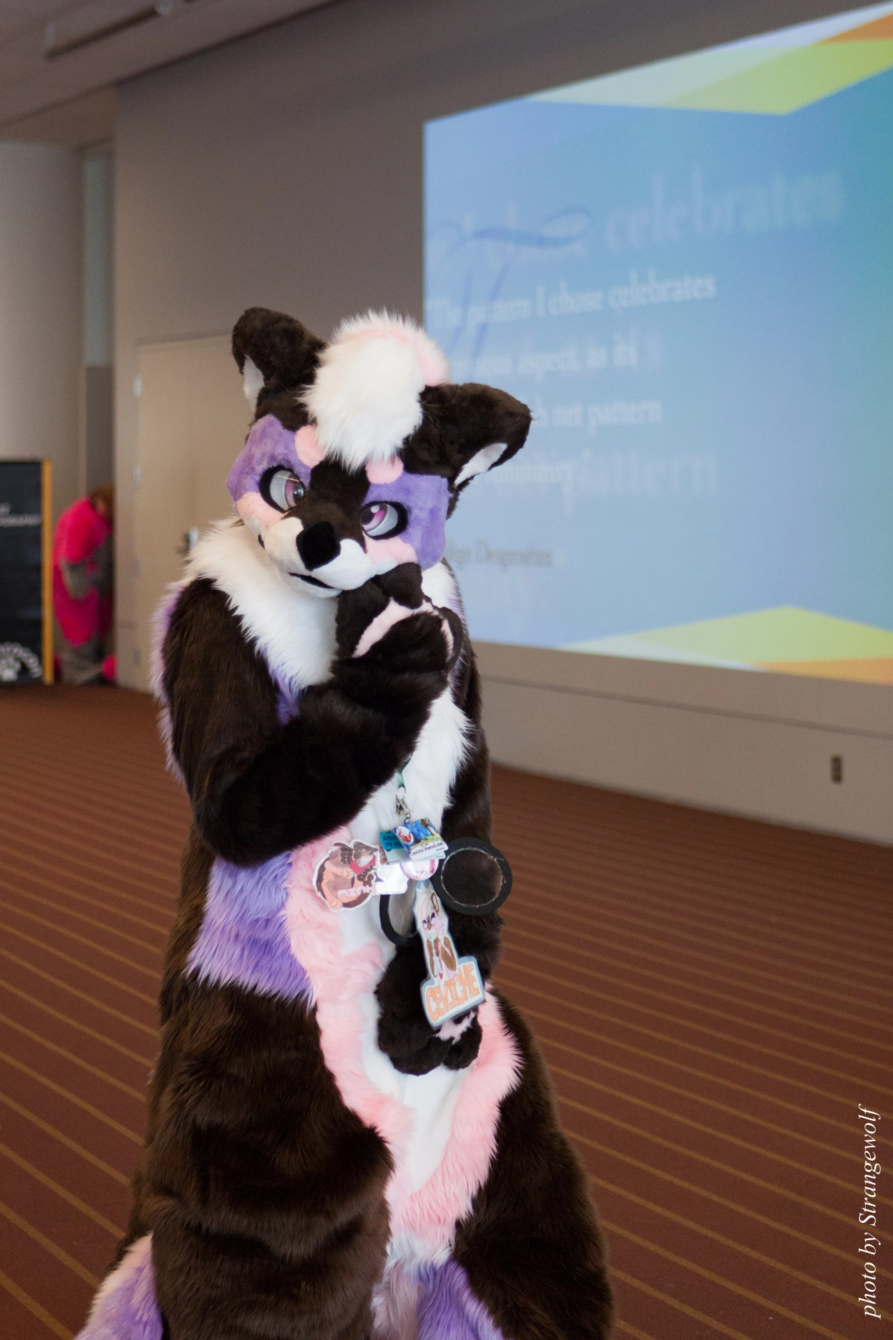 full image IMG_4624-lr19t.jpg
