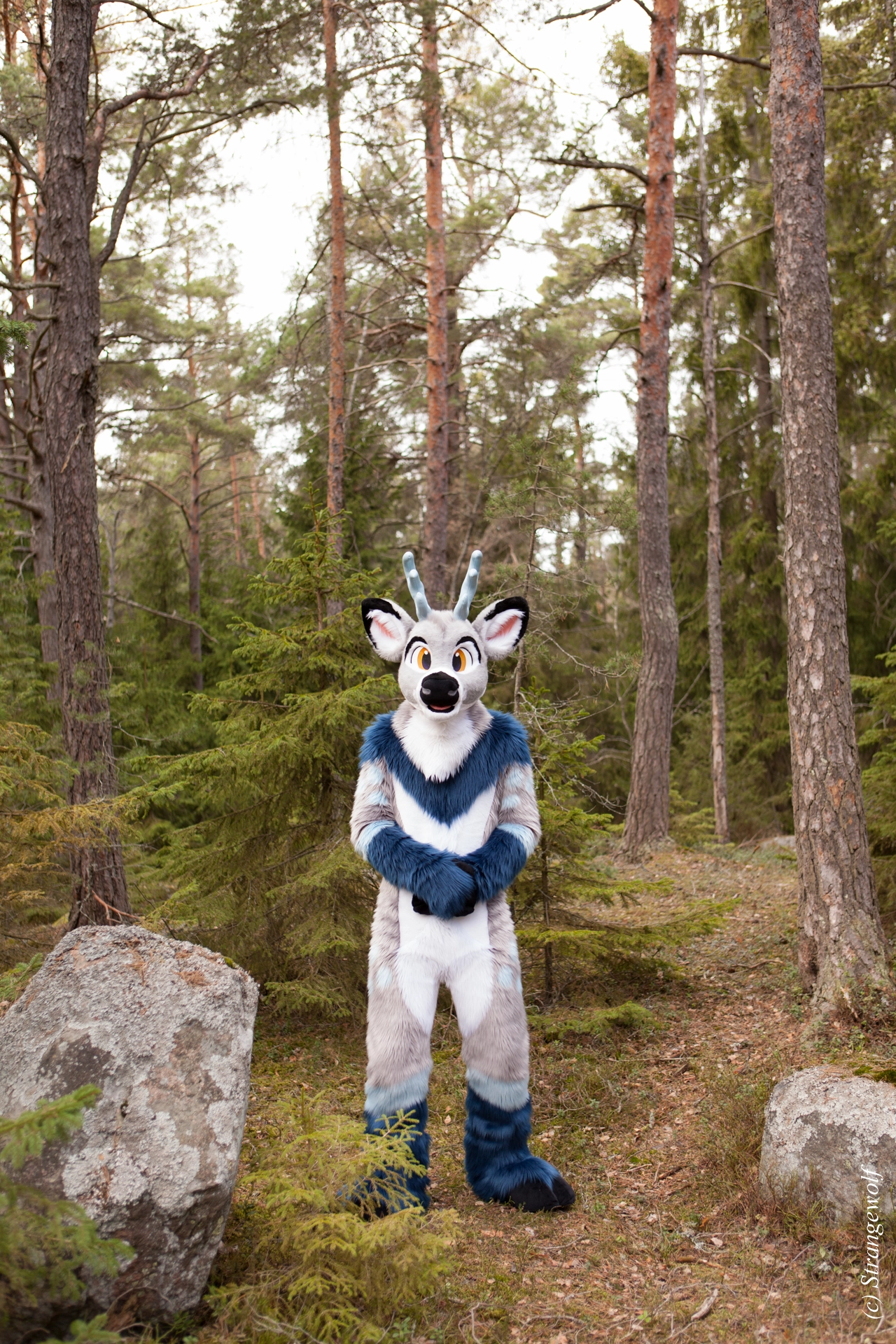 full image IMG_8652-lr19t.jpg