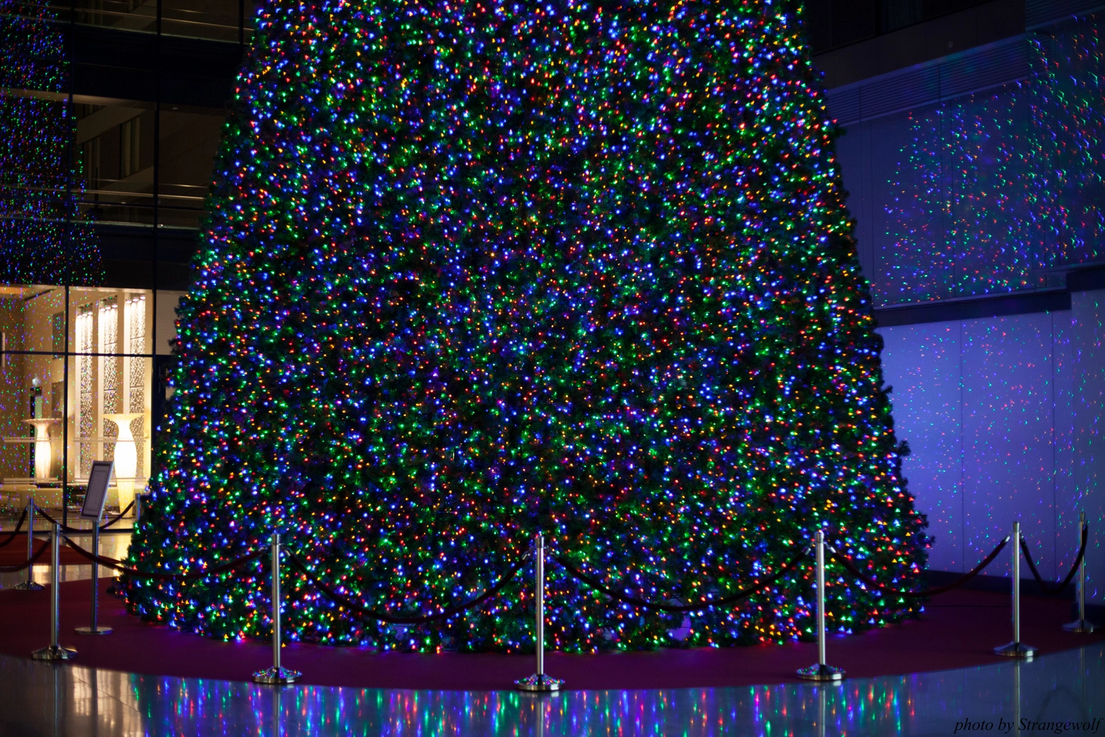 full image IMG_5825-lr16t.jpg