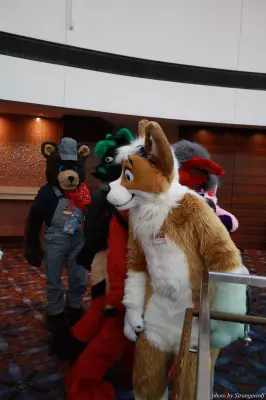 IMG_1037-lr.jpg of MFF/MFF2013/