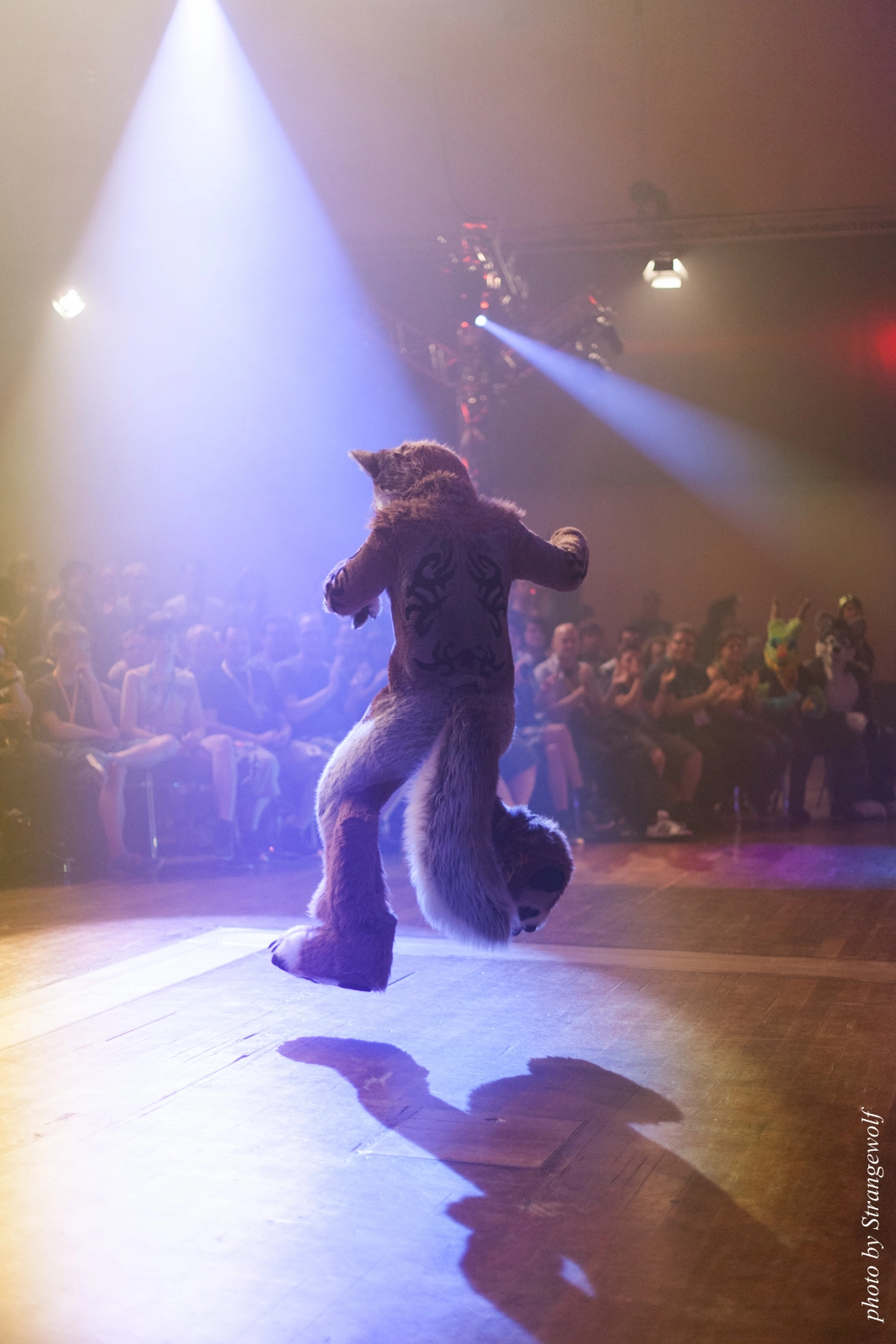 full image IMG_2749-lr16t.jpg