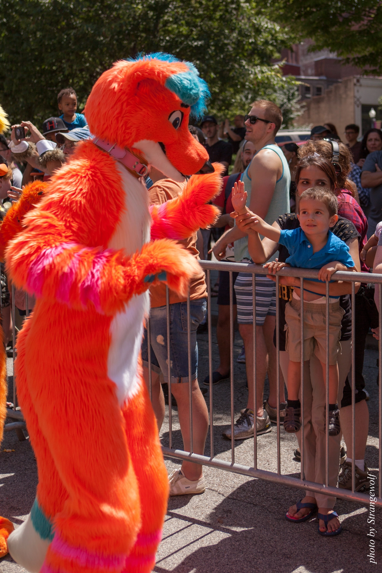 full image IMG_4557-lr19t.jpg