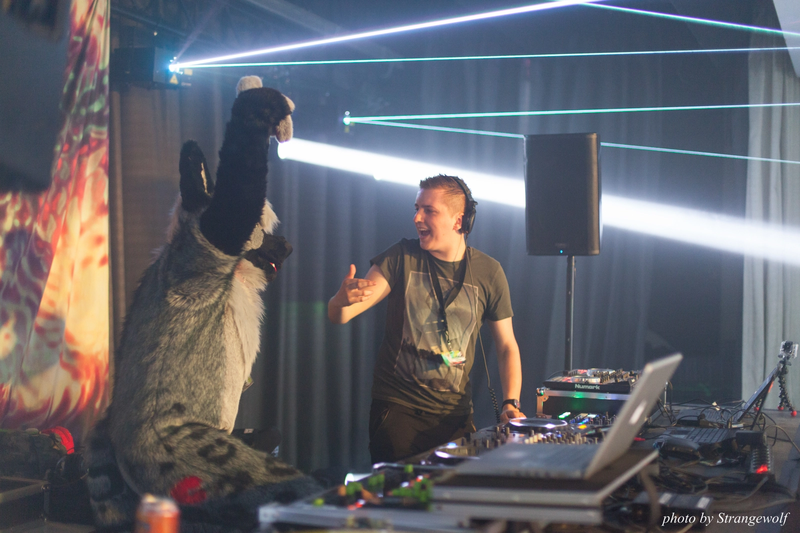 full image IMG_8670-lr16t.jpg