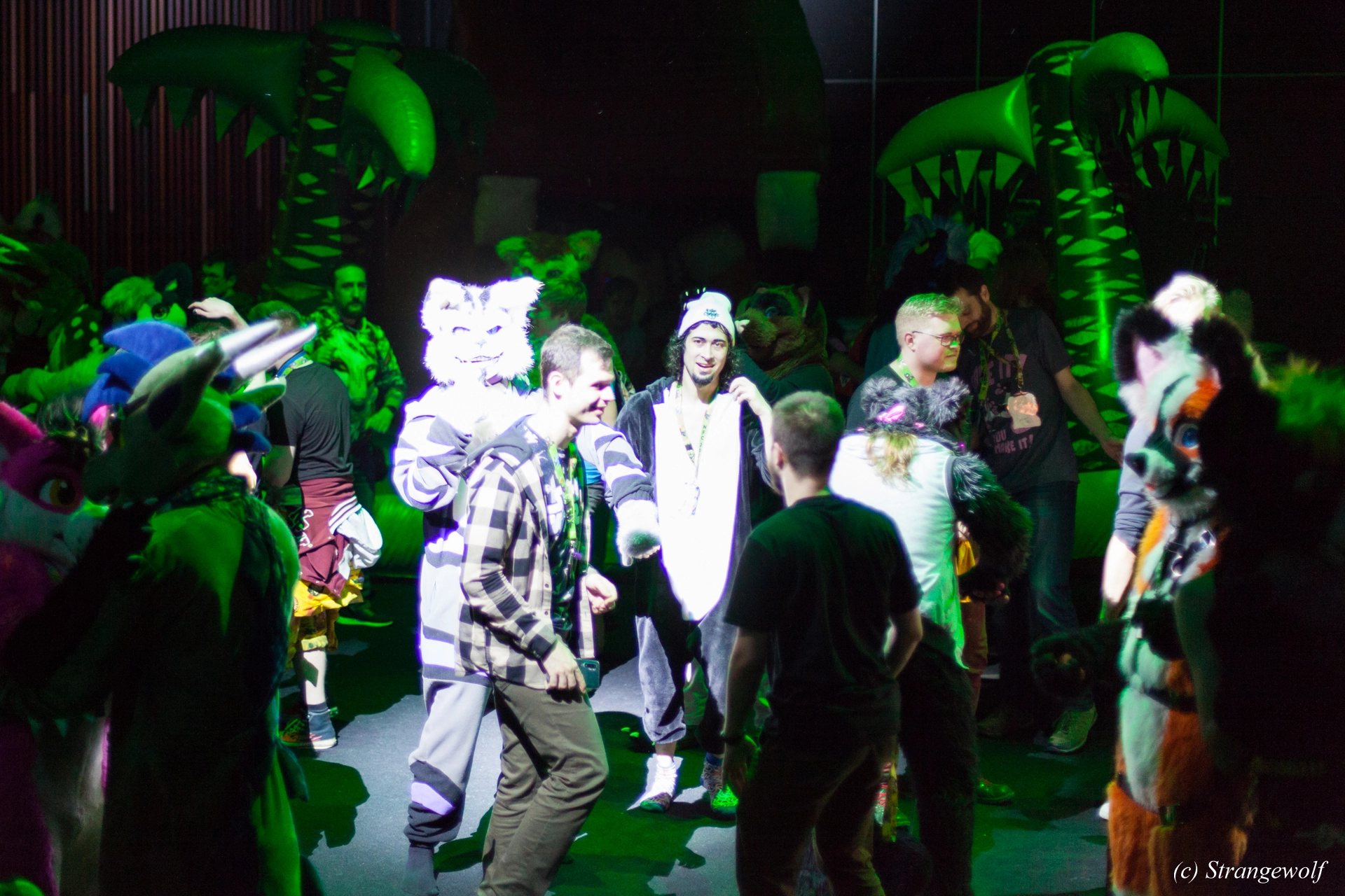 full image IMG_9321-lr19t.jpg