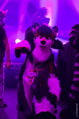 IMG_1338-lr19t.jpg of MFF/MFF2021/Dances/