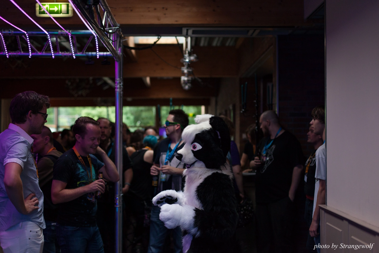 full image IMG_5305-lr16t.jpg