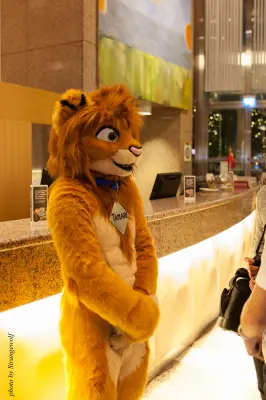 IMG_1740-lr16t.jpg of NFC/NFC2017/