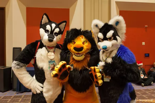 IMG_8370-lr19t.jpg of MFF/MFF2017/
