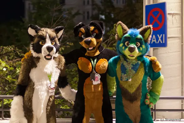 IMG_5395-lr19t.jpg of EF/EF24/