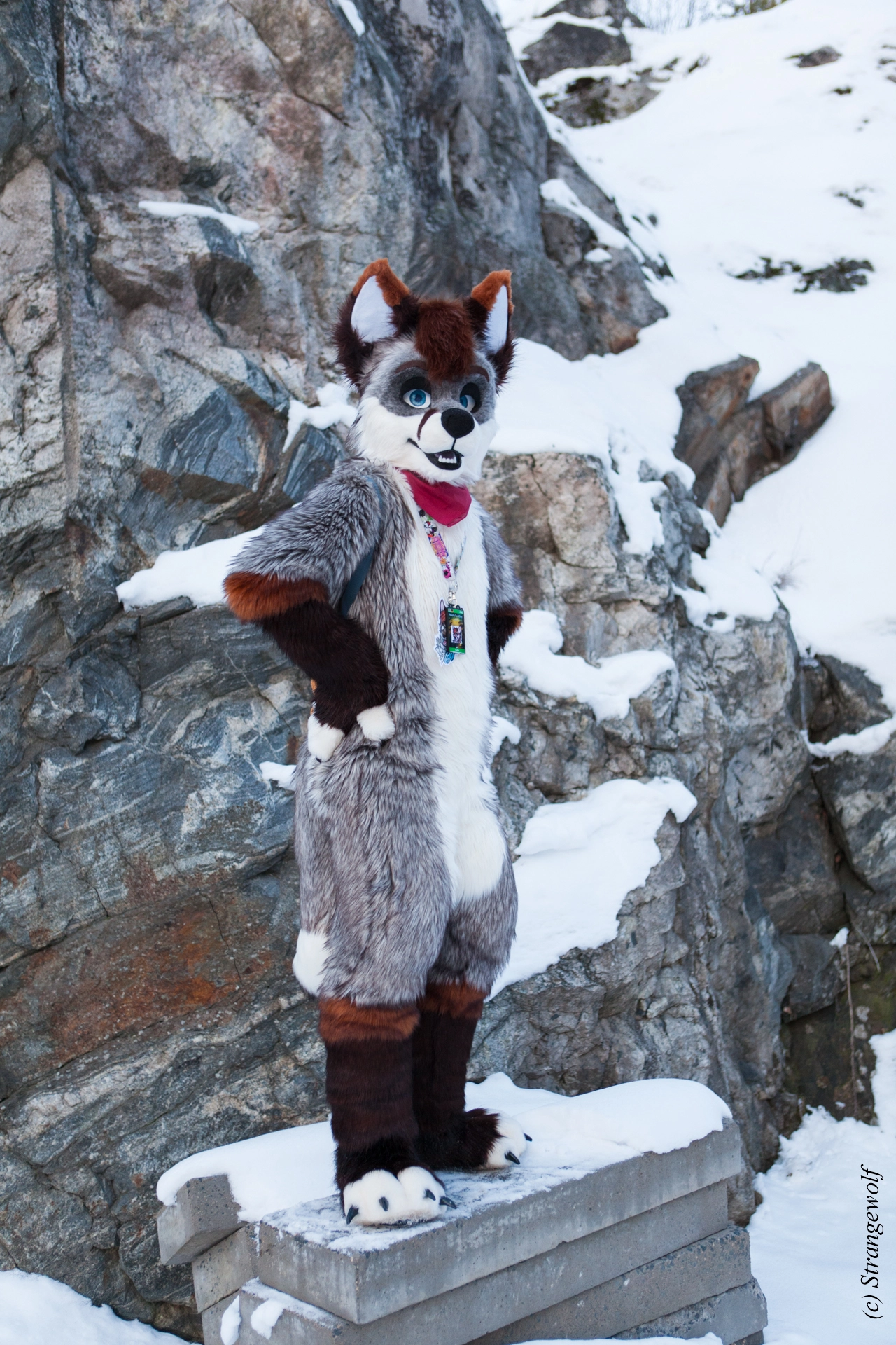 full image IMG_0629-lr19t.jpg