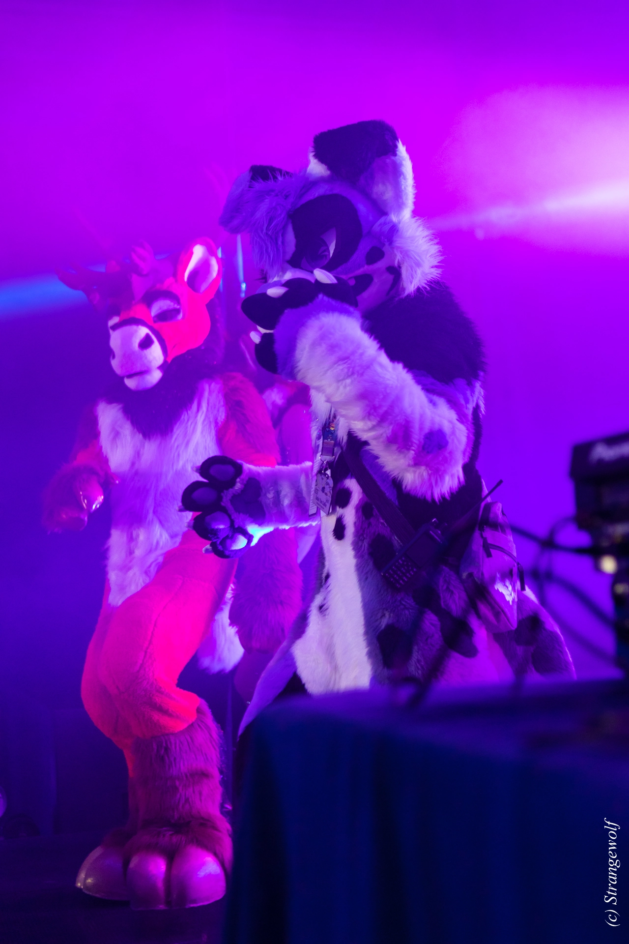 full image 1R3A5436-lr19t.jpg