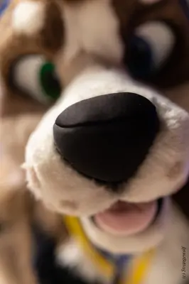 1R3A9483-lr19t.jpg of EF/EF29/