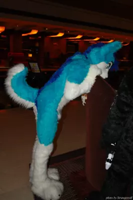IMG_0849-lr.jpg of MFF/MFF2013/