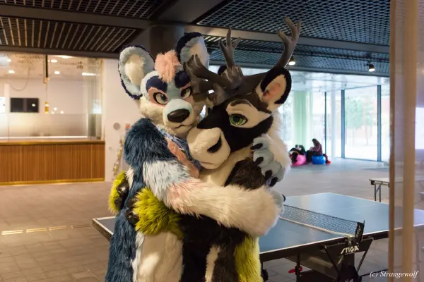 IMG_8547-lr19t.jpg of NFC/NFC2020/