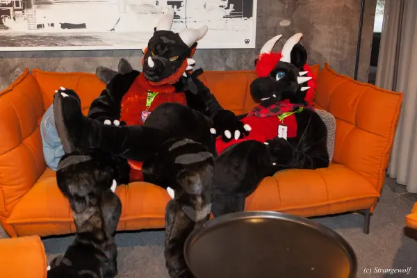 IMG_8940-lr19t.jpg of NFC/NFC2020/