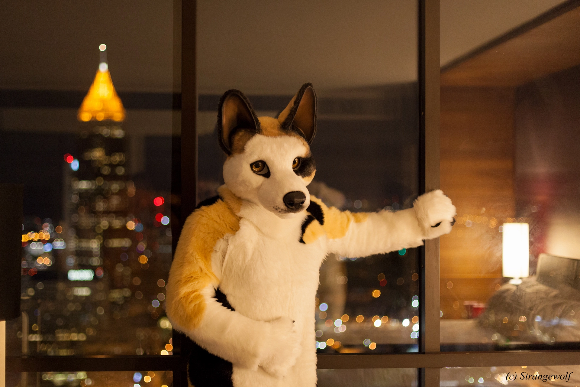 full image IMG_2125-lr19t.jpg