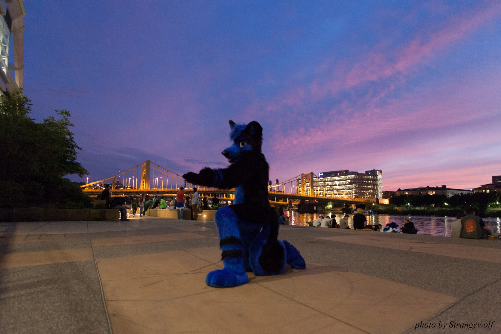 full image IMG_8414-lr16t.jpg