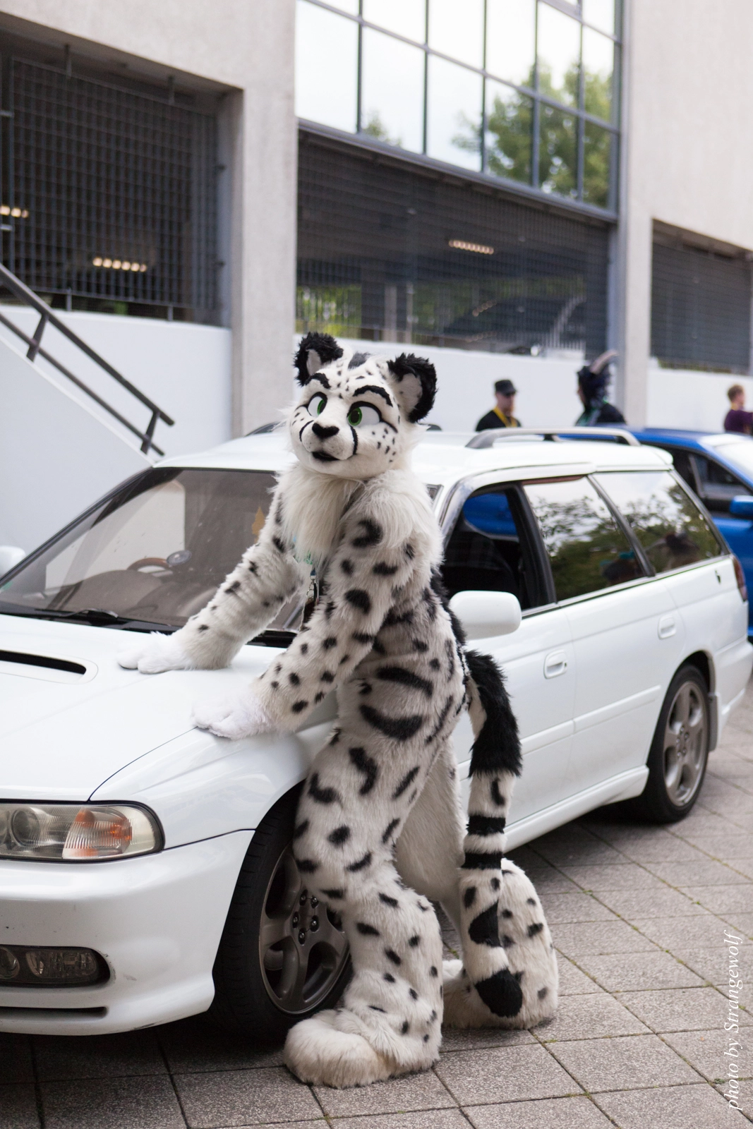 full image IMG_0067-lr16t.jpg