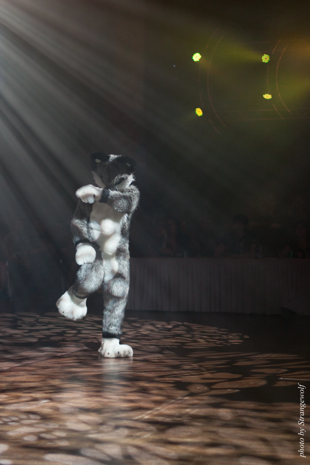 full image IMG_9245-lr16t.jpg