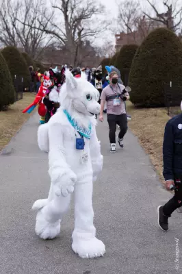 IMG_3244-lr19t.jpg of ANE/ANE2022/Suitwalk/