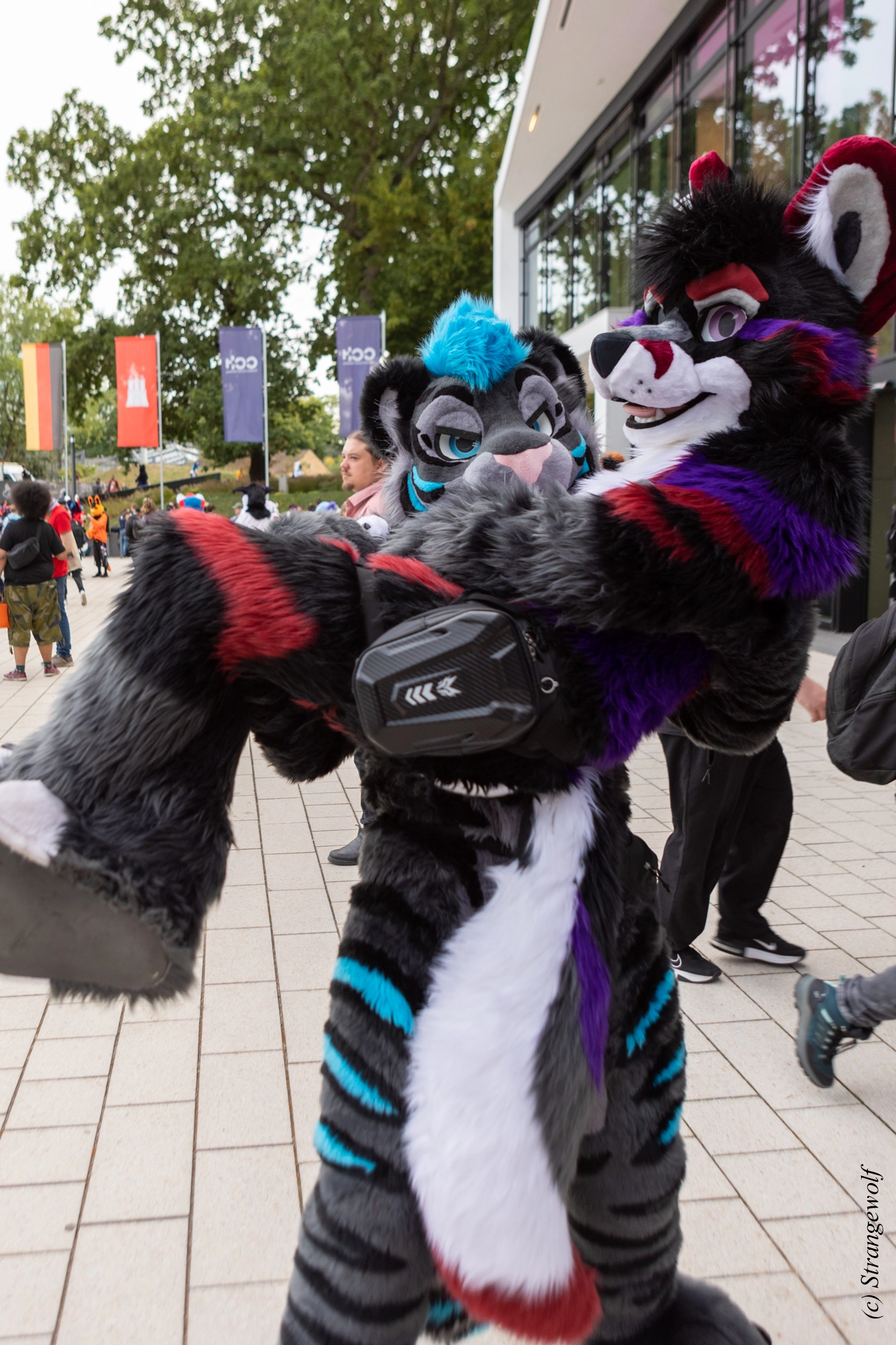 full image 1R3A9121-lr19t.jpg