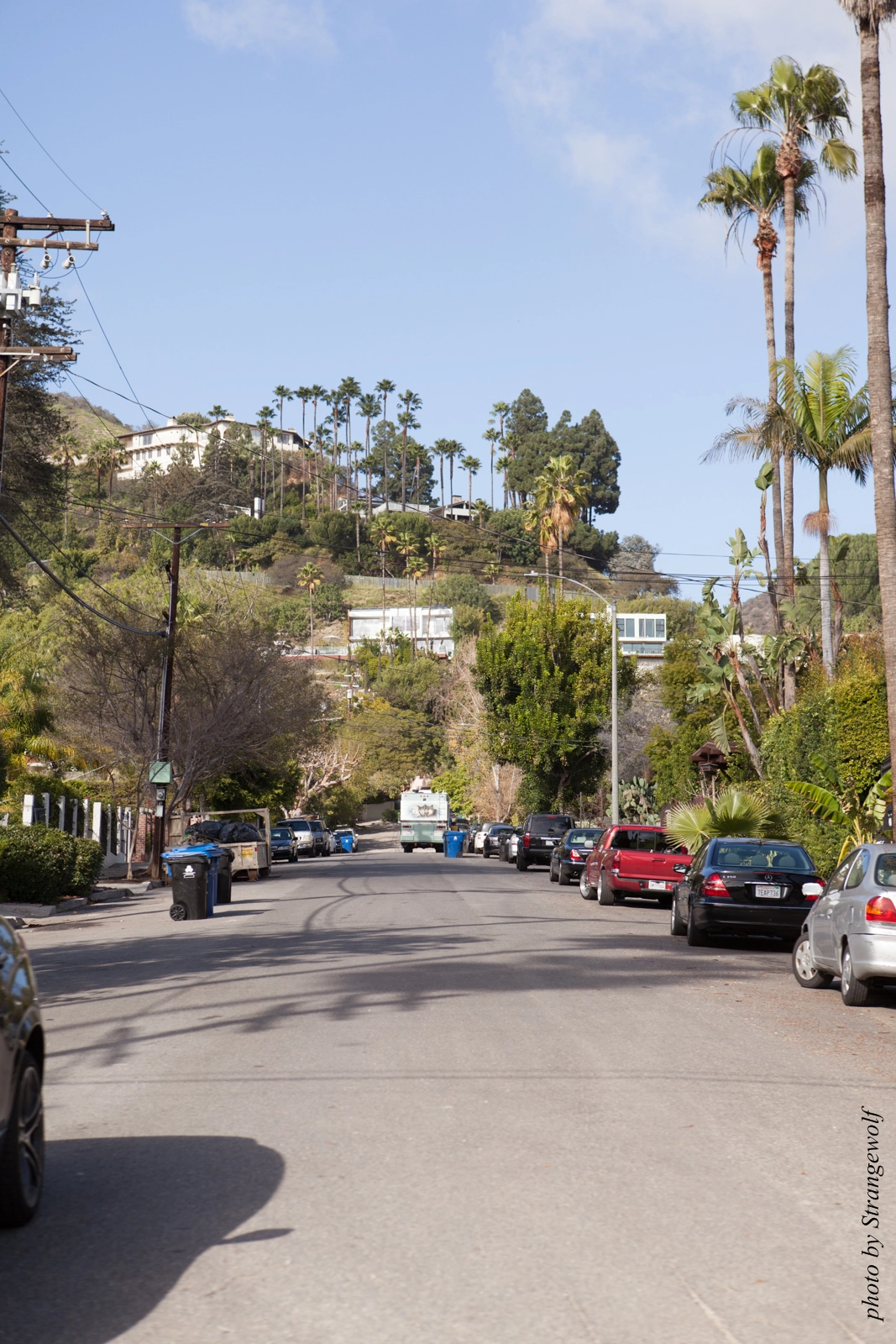 full image IMG_0988-lr16t.jpg