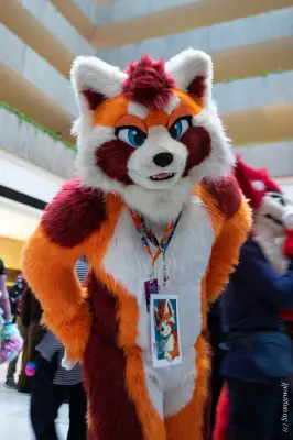 1R3A0208-lr19t.jpg of MFF/MFF2025/