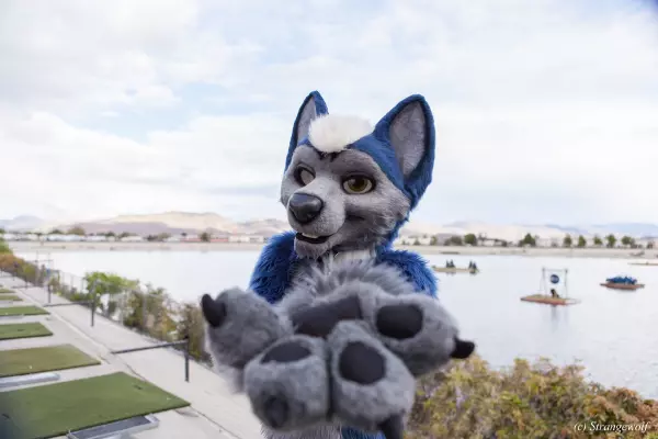 IMG_2679-lr19t.jpg of BLFC/2018/