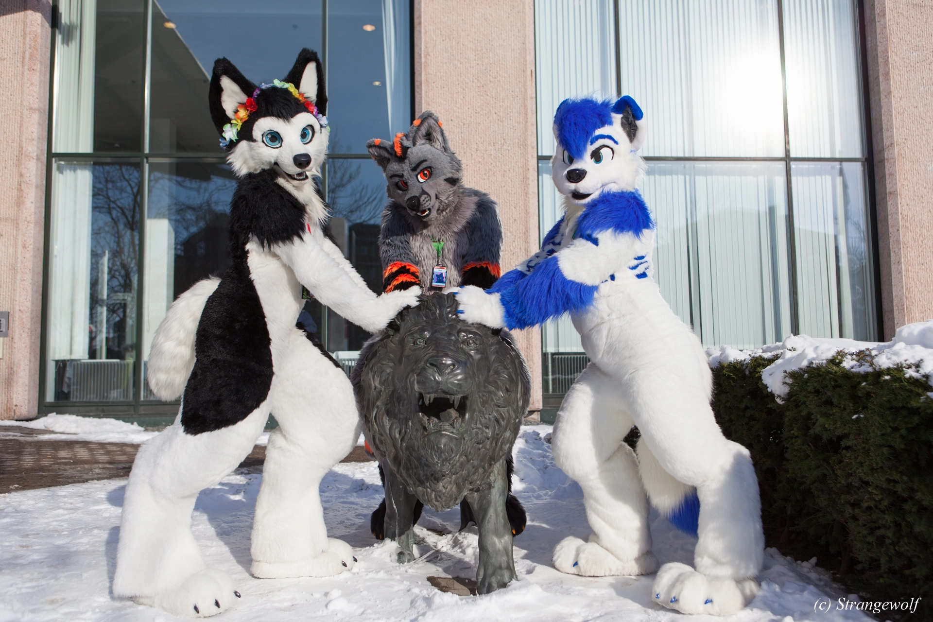 full image IMG_9645-lr19t.jpg