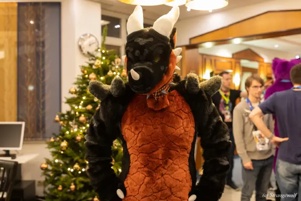 1R3A6722-lr19t.jpg of Furvester/Furvester2022/