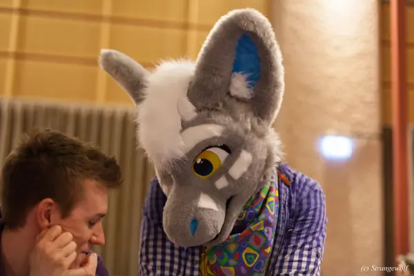 IMG_9644-lr19t.jpg of NFC/NFC2019/