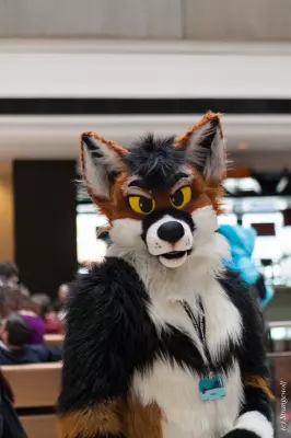 IMG_8333-lr19t.jpg of MFF/MFF2017/
