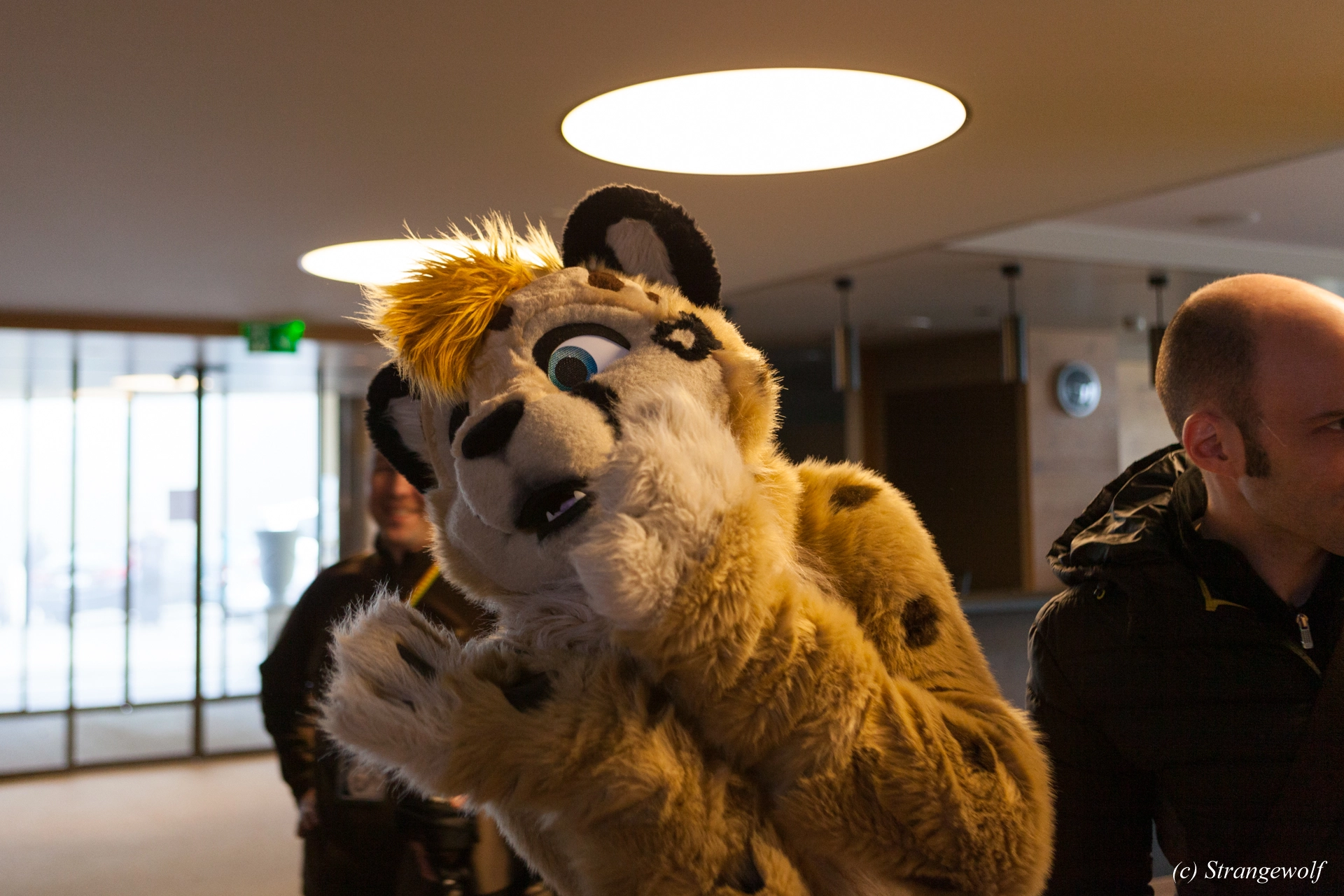 full image IMG_6972-lr19t.jpg