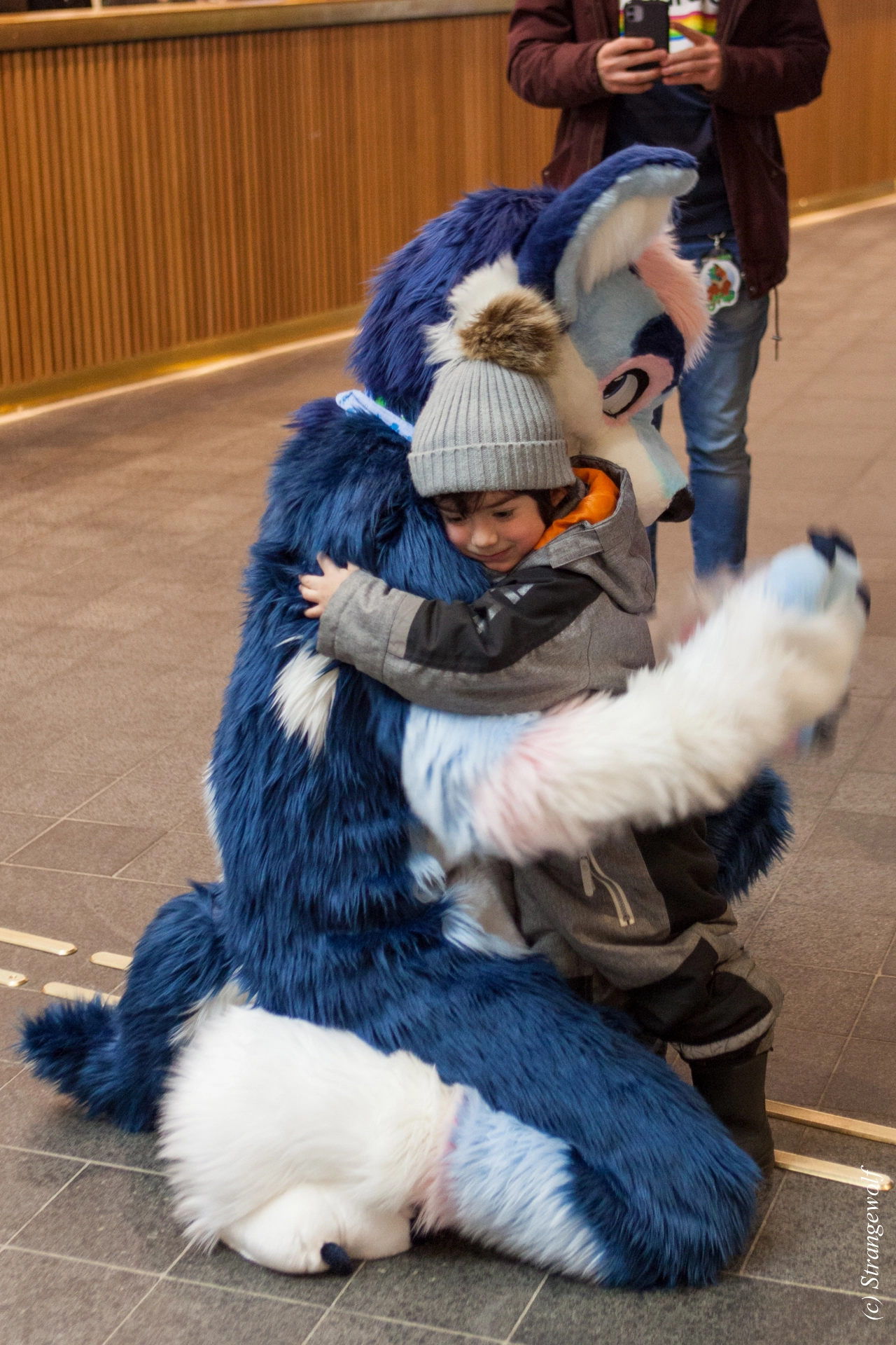 full image IMG_8517-lr19t.jpg