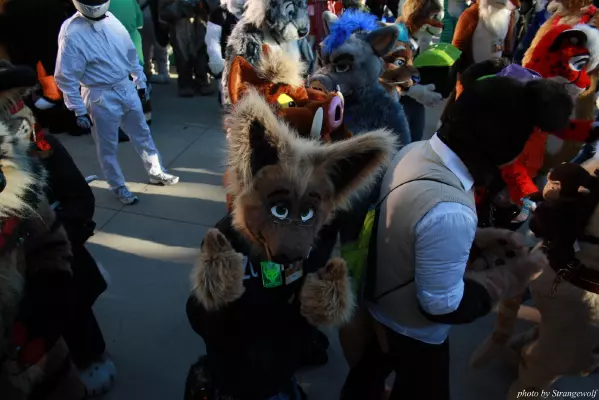 IMG_0667-lr.jpg of MFF/MFF2013/