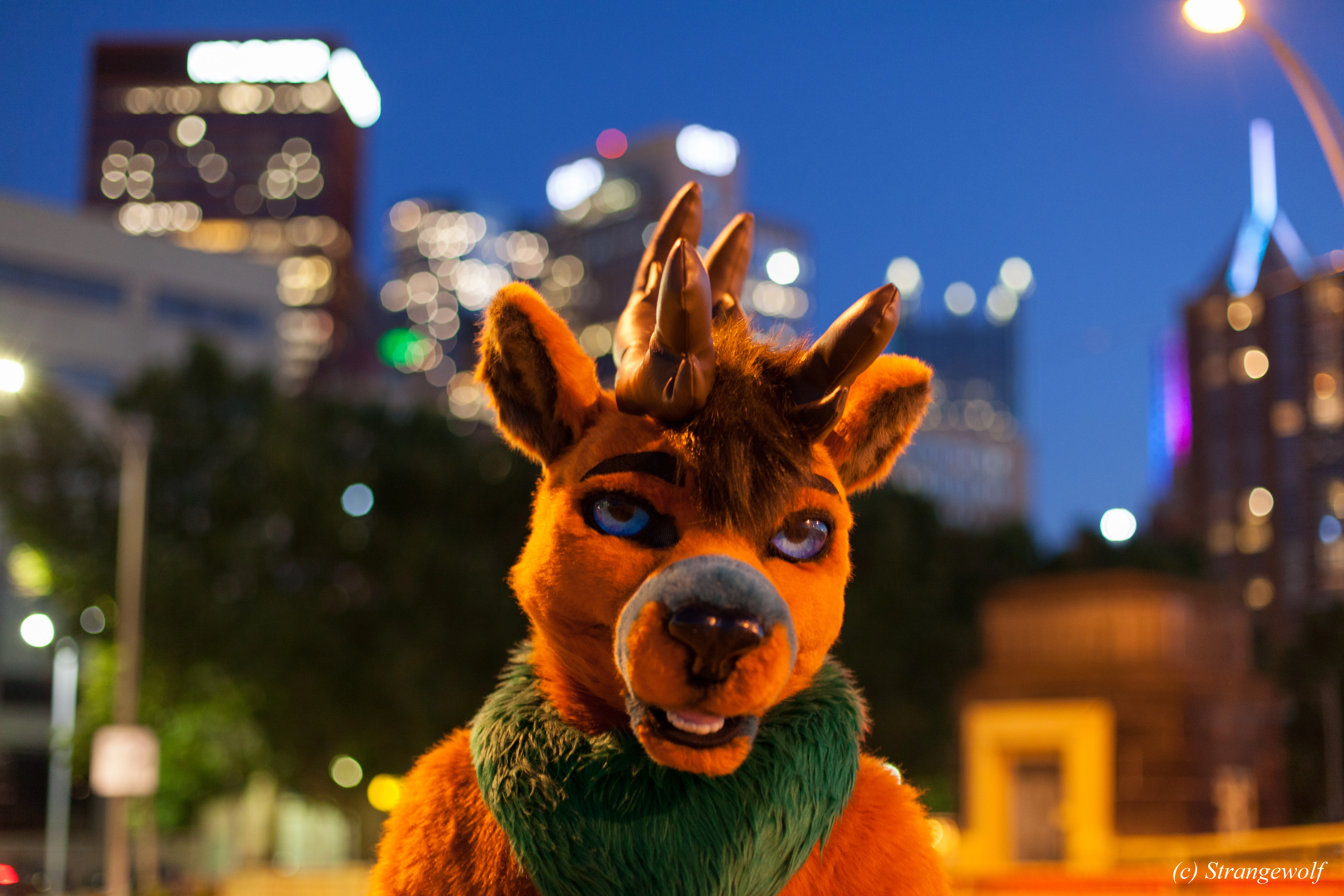 full image IMG_4555-lr.jpg