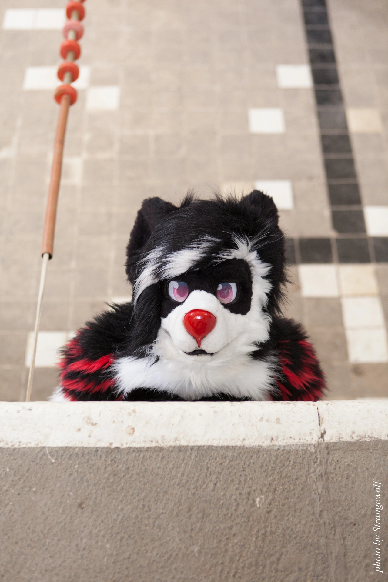 full image IMG_6054-lr19t.jpg