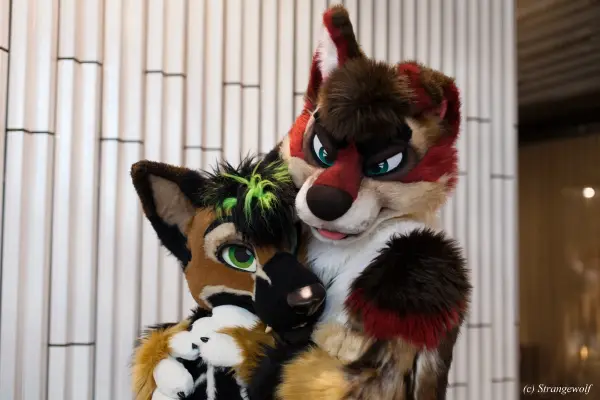 IMG_9368-lr19t.jpg of NFC/NFC2020/