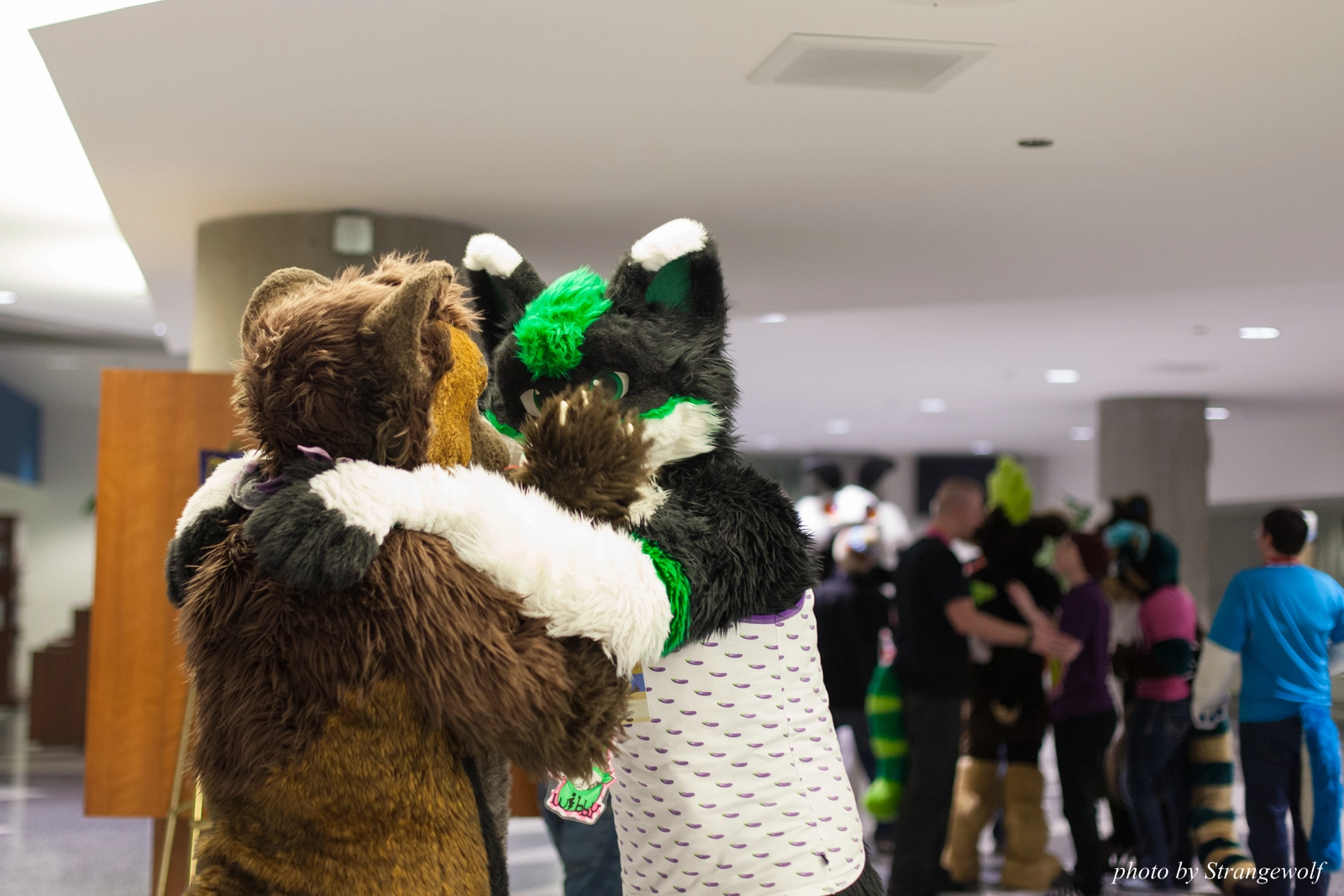 full image IMG_1161-lr16t.jpg